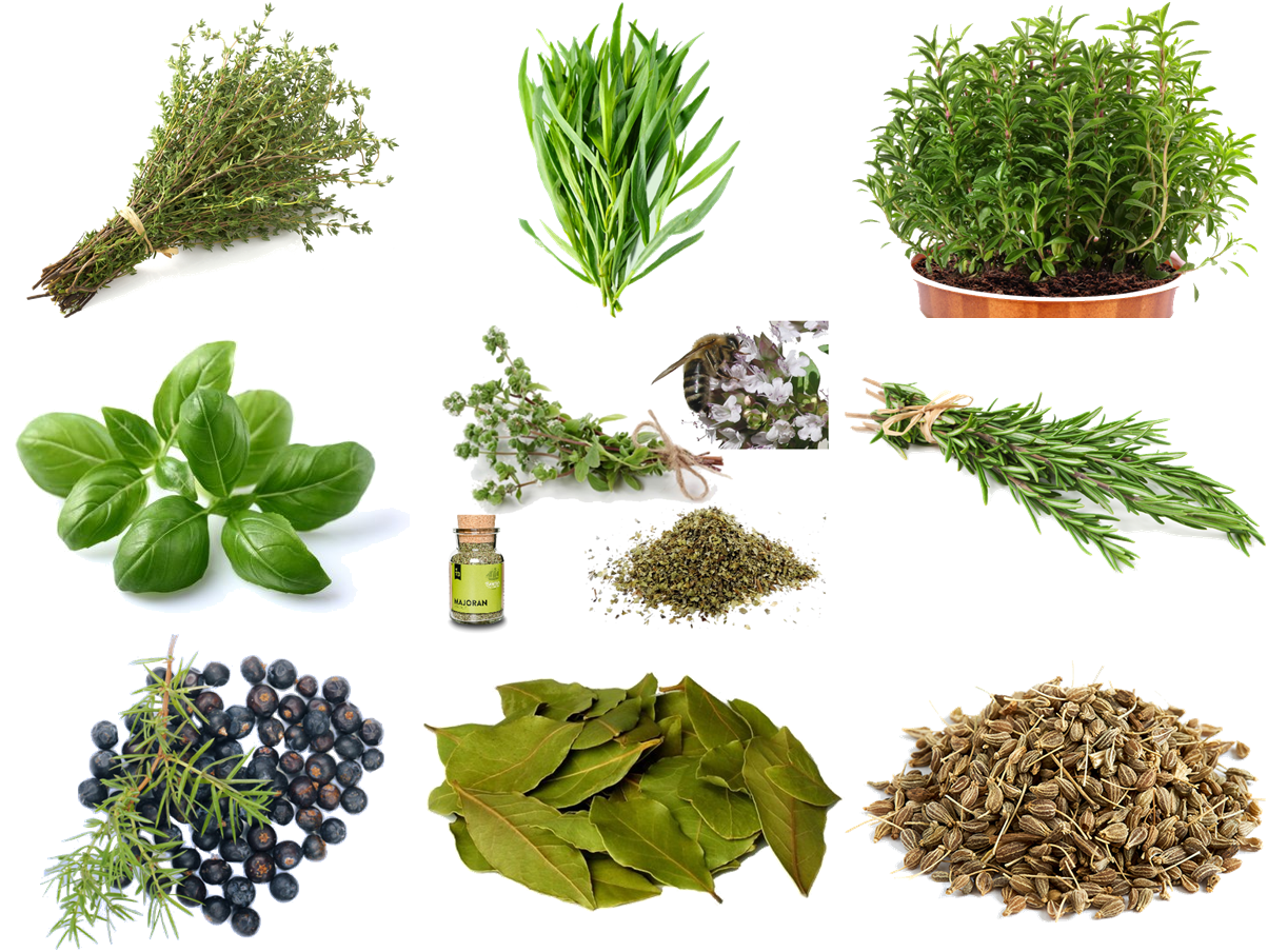 Herbs of Provence are a herbal blend of French cuisine. 
